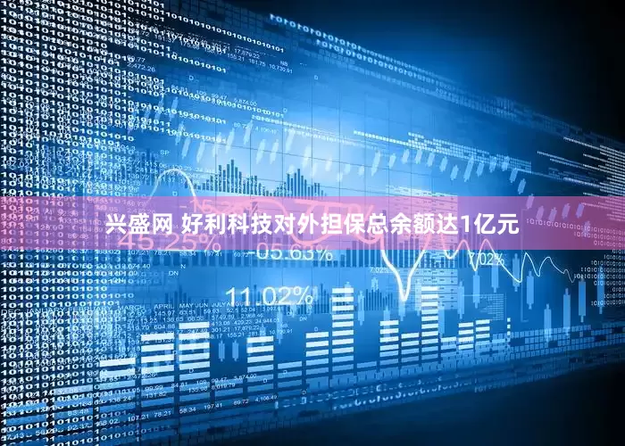 兴盛网 好利科技对外担保总余额达1亿元