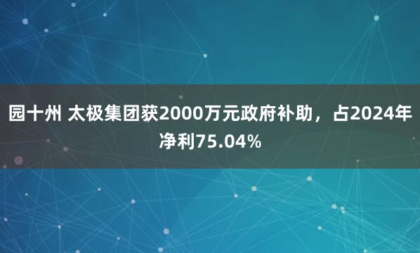 园十州 太极集团获2000万元政府补助，占2024年净利75.04%
