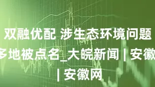 双融优配 涉生态环境问题  多地被点名_大皖新闻 | 安徽网