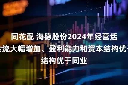 同花配 海德股份2024年经营活动现金流大幅增加、盈利能力和资本结构优于同业