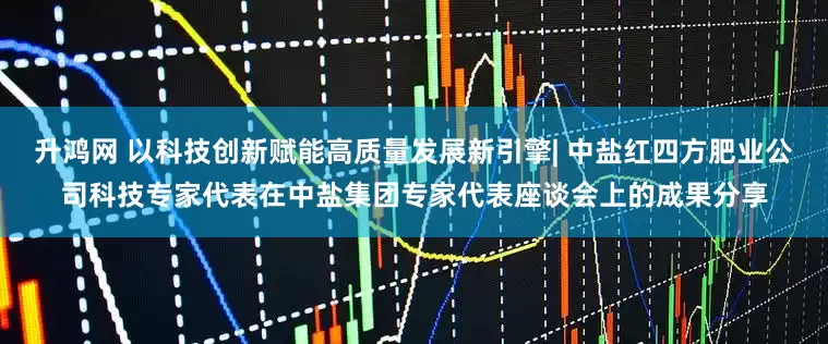 升鸿网 以科技创新赋能高质量发展新引擎| 中盐红四方肥业公司科技专家代表在中盐集团专家代表座谈会上的成果分享